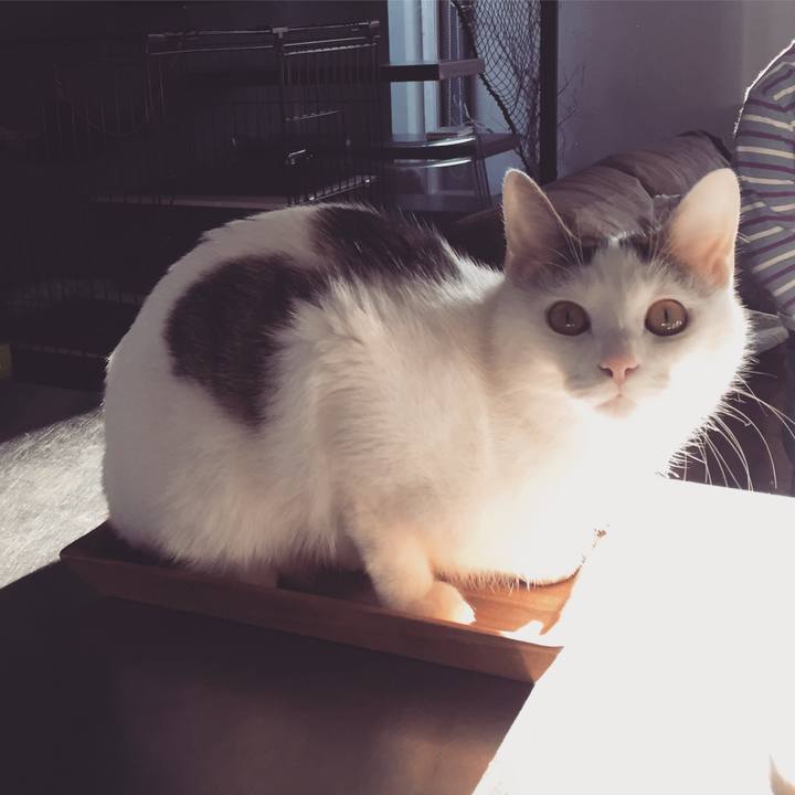 7b9900c9 c732 4f0f 800f 8e4cd9ad706f