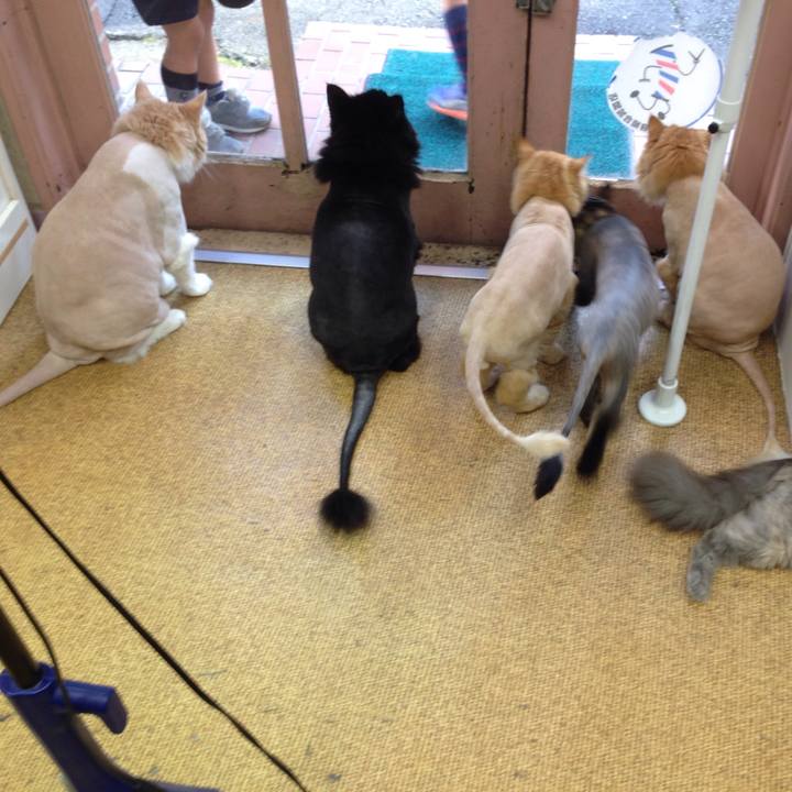 7b9912f9 eeab 409f b730 9b53f389e8d8