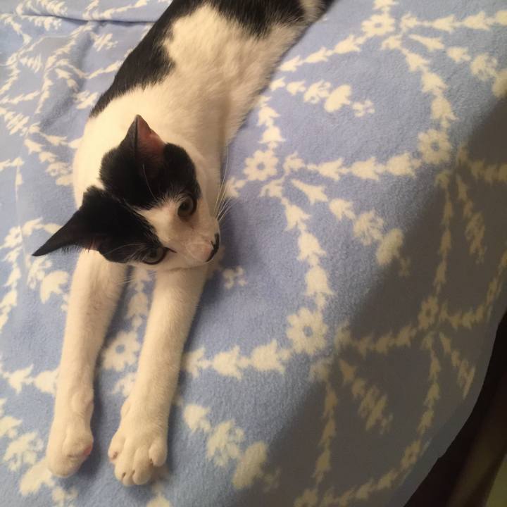 7b9971b1 b94b 48c3 a576 6d4a37c9184e