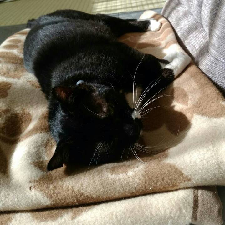 7b9a5de6 6e57 4a4e ba61 8fc954d37b16