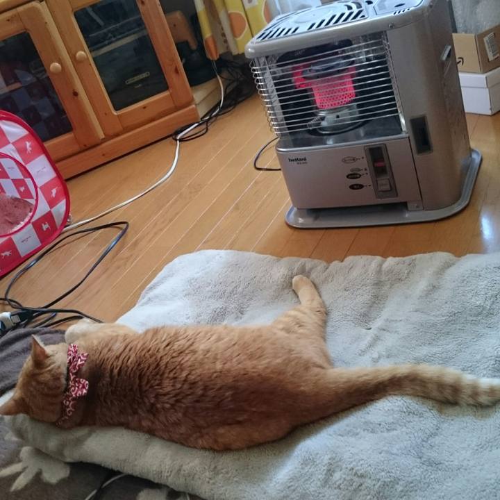 7b9a80f8 f7b1 4920 8fc6 a66deefd219c