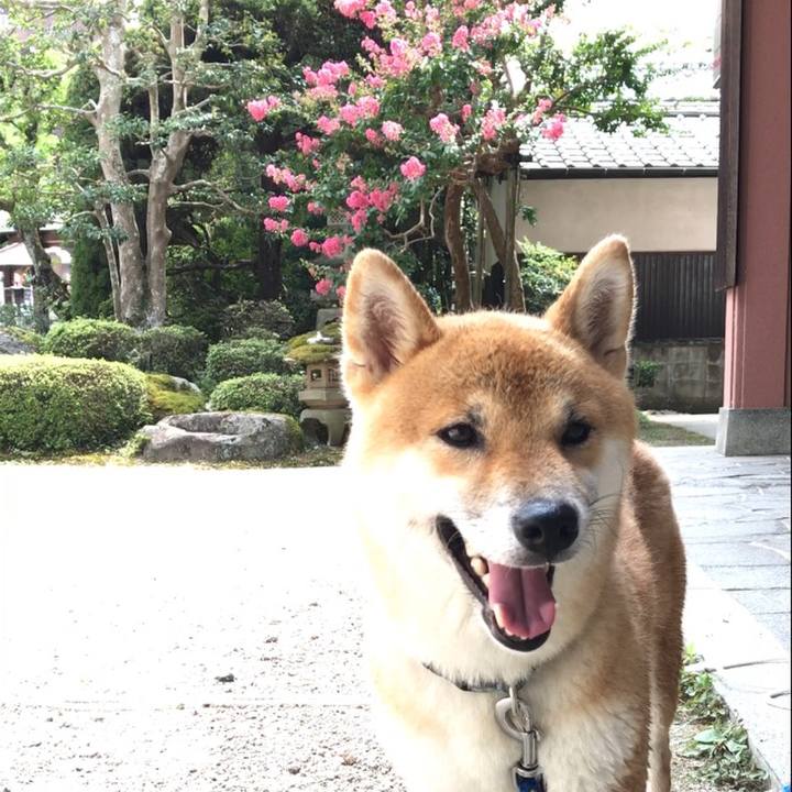 7b9b0f55 2ca4 4e6a a004 6b03cb5fad30