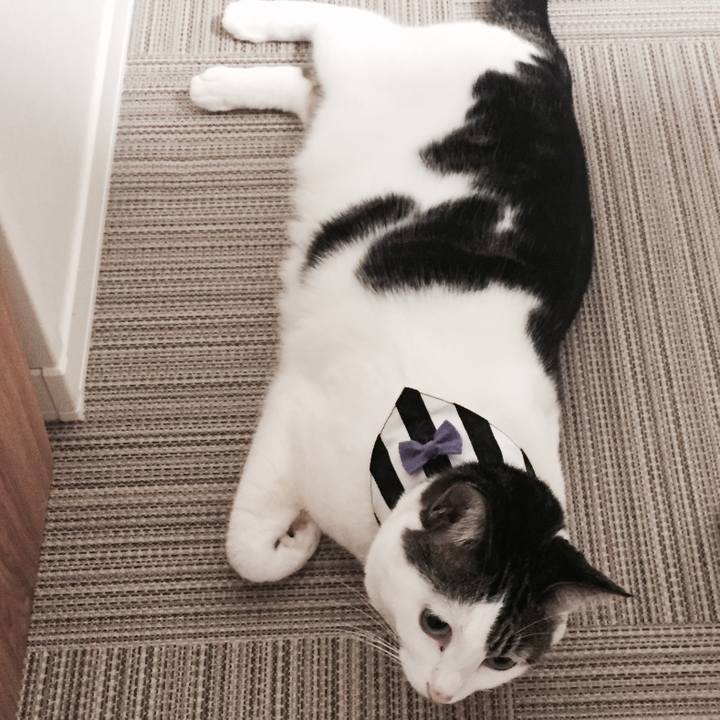 7b9b22cb 076a 47b0 bbb2 b5363b8bc833