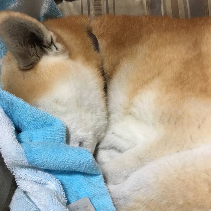 7b9b5455 32b6 44c5 9082 9facefc85e16