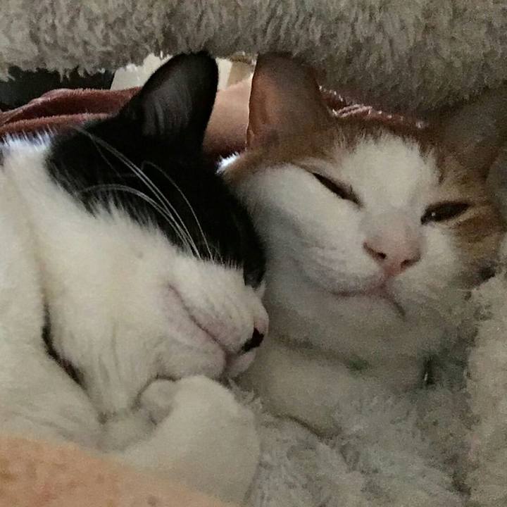 7b9c8d96 113f 478e 9a3e f691dc596241