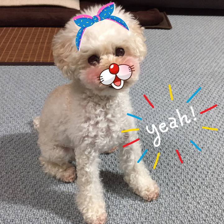 7b9e1549 b6b3 4e68 96ea 9c73a63bc0a8