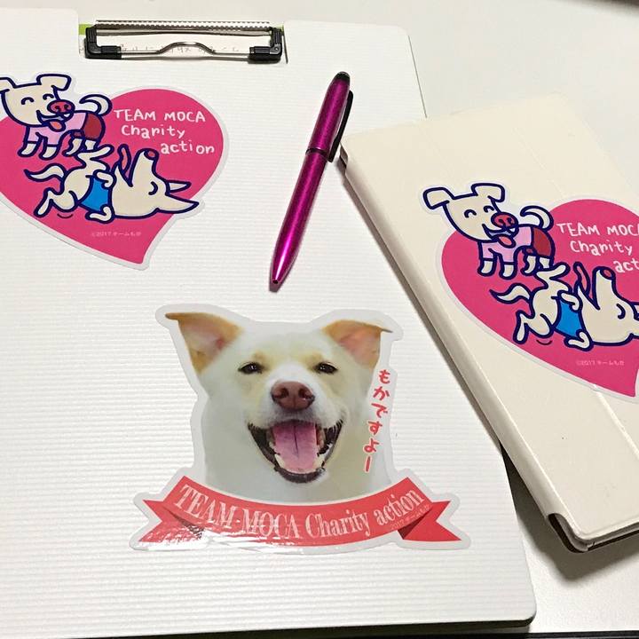 7b9e4c8b a67f 48fd 9667 6ae7992e26dc