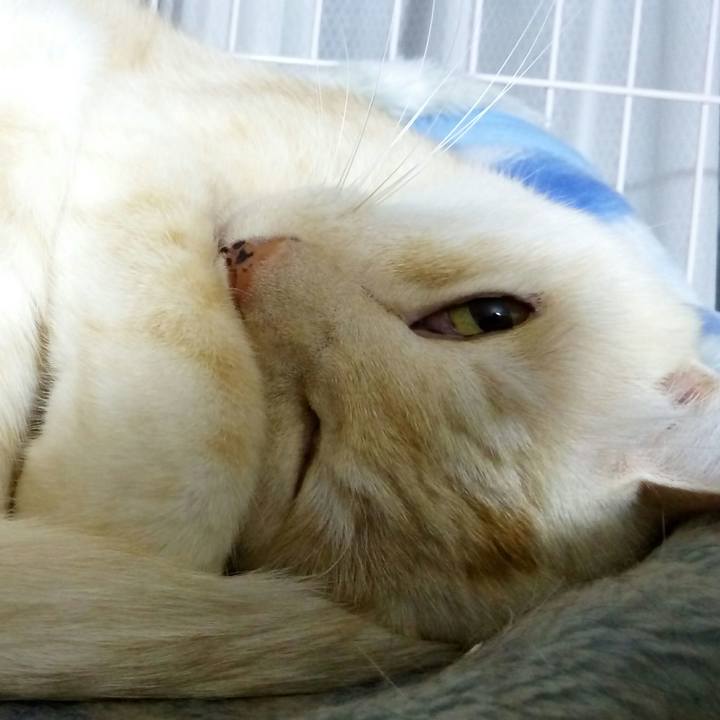 7b9f1eb0 7009 45d4 aa67 5d4673c8a959