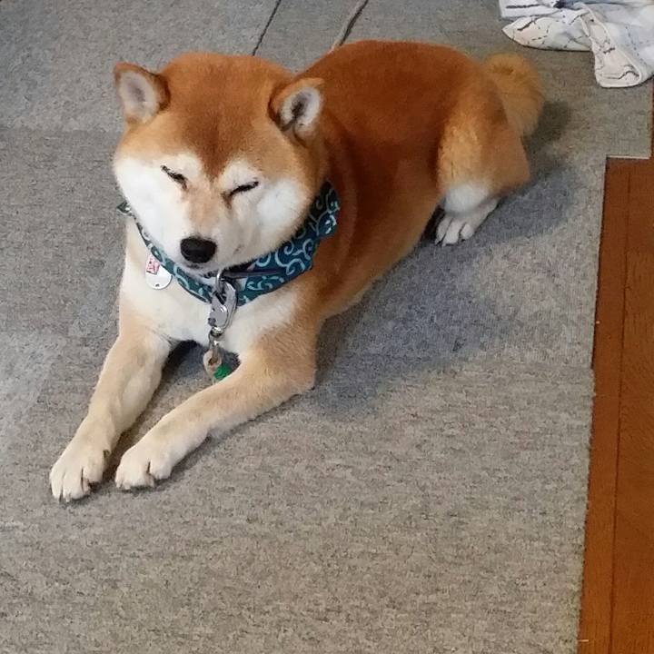 7b9faee6 4ac4 4480 8681 ed203b1c474b