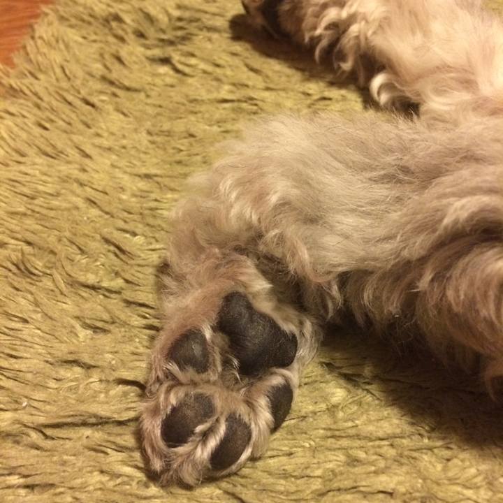 7ba0e77b c05a 48f5 95a3 abad6d4d9a27