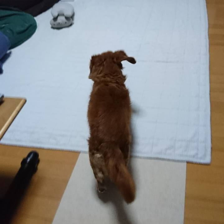 7ba0e8fe 3218 4bfc ae22 7873580b282f