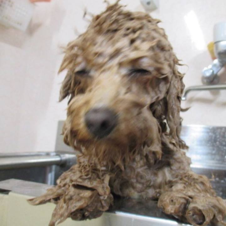 7ba0f602 234d 4957 9d3c f631e141ce44