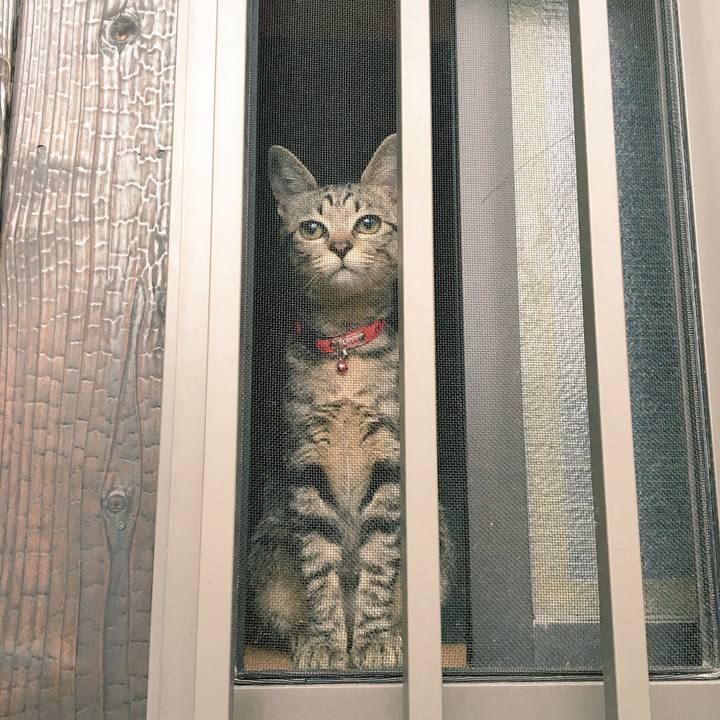 7ba13a58 ea98 4690 a0eb 18670c69c045