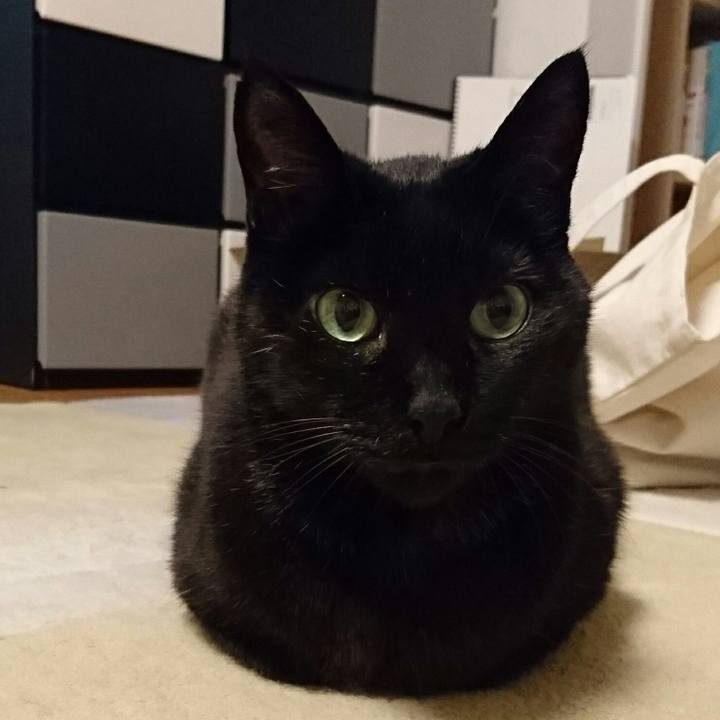 7ba14ed5 2a4f 40ac a871 2e004c589795