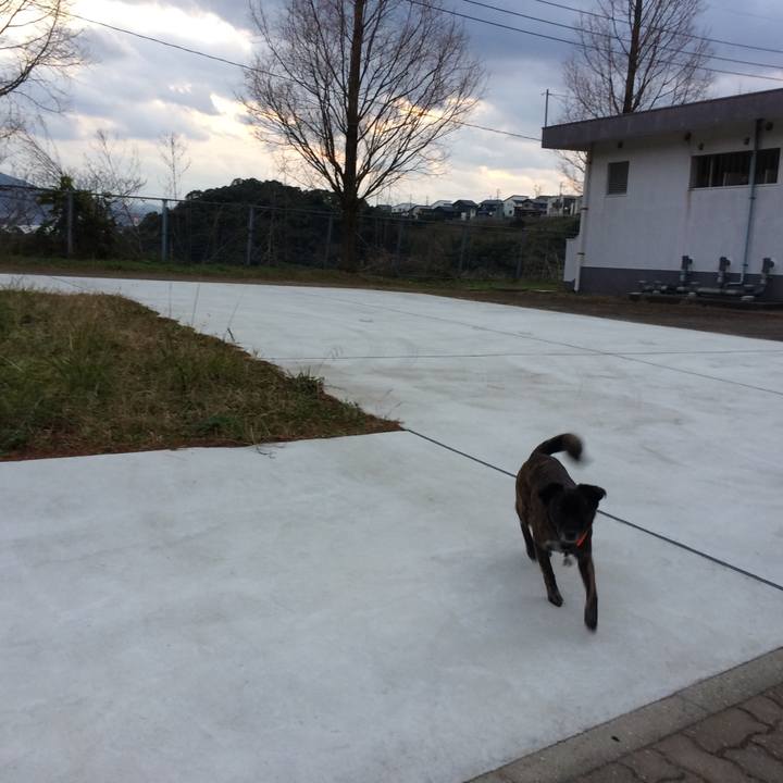 7ba150bd f51b 4090 82d3 16dbadd48dbb