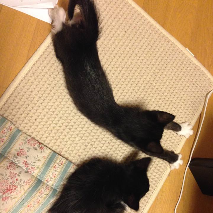 7ba1a78b a540 4e9a 8585 6a0ff1c84c00