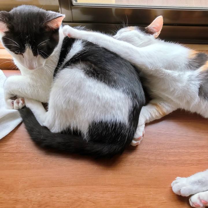 7ba1b5e9 94de 4202 8e51 0c4500a5ff81