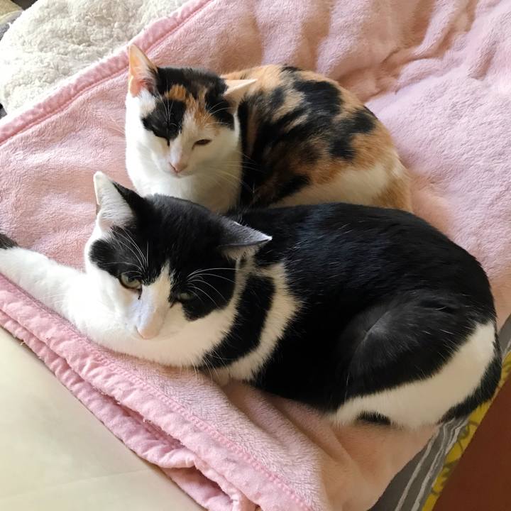 7ba2efa0 306b 45a4 a2ed 42bedb7b3e9f