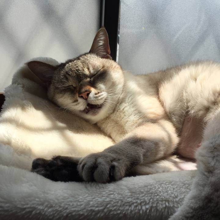 7ba33bba 7837 45c4 815d 661cc106bda1