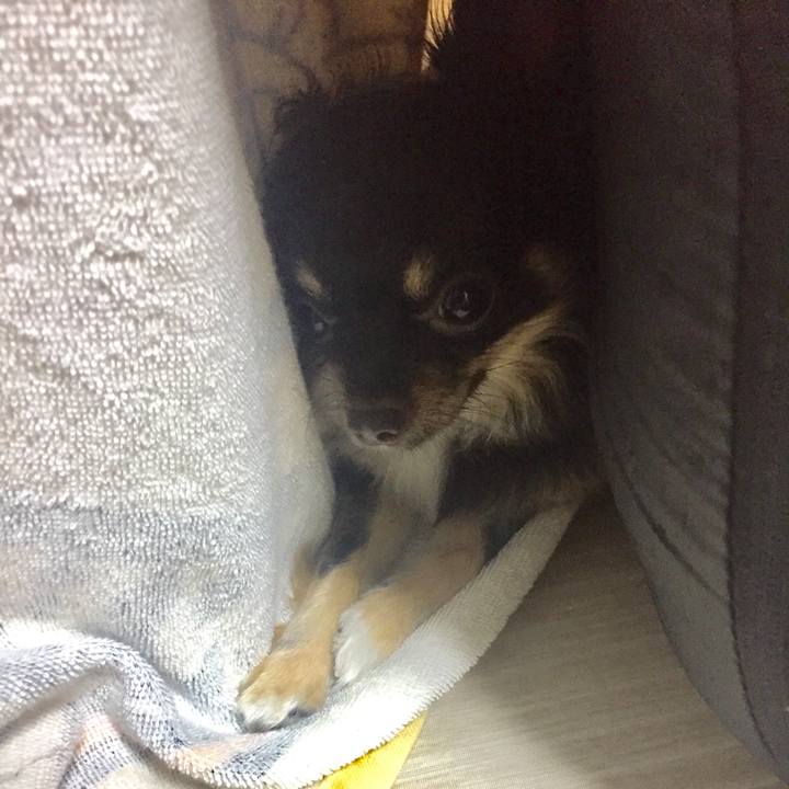 7ba349d9 3a5b 4dbf af45 6423d4679af5