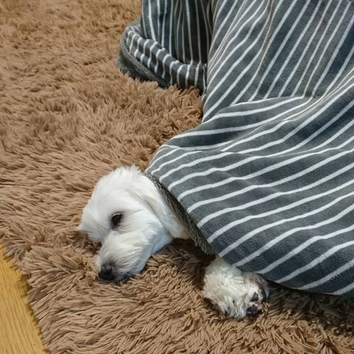 7ba3c2de 4925 4ff9 896f 751419005fb5