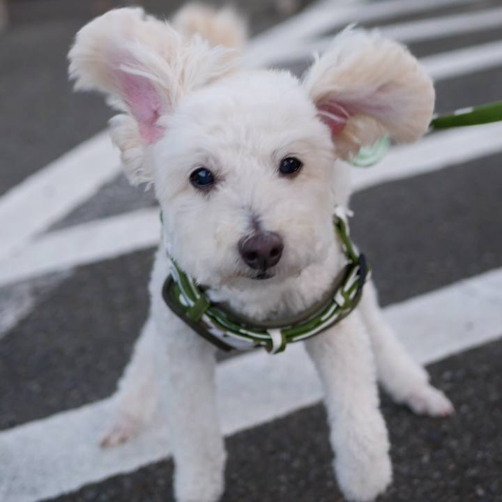 7ba3d07f aa95 42aa b2b8 afdfd215d8c5