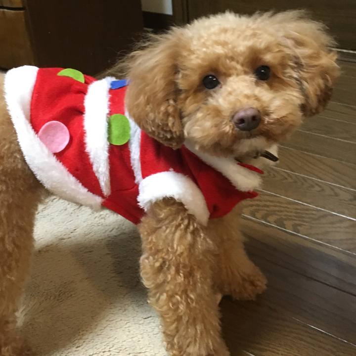 7ba43236 78ca 45bd 9190 1ad6915575a3