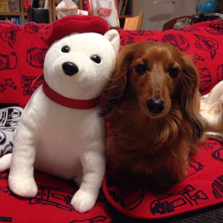 7ba4712b c730 4e30 acc6 b4a4966b8628