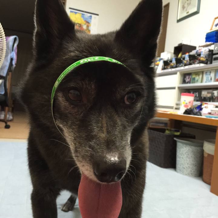 7ba4ab90 d028 4e1c 91ec b29f387f906a