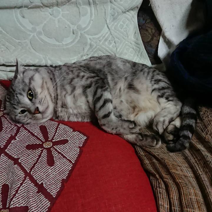 7ba544fd e874 4645 9111 9fa82cf209f4