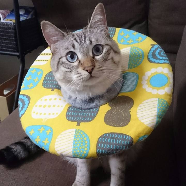 7ba546b6 168e 4b32 9ef9 a6be21d6243f