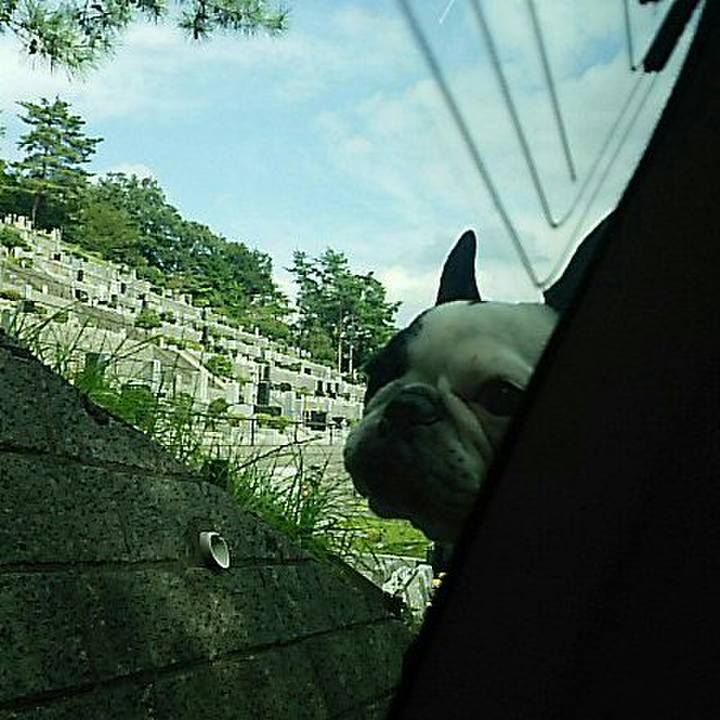 7ba5cbf7 a0b9 4e23 b0a6 0c872e5ad181