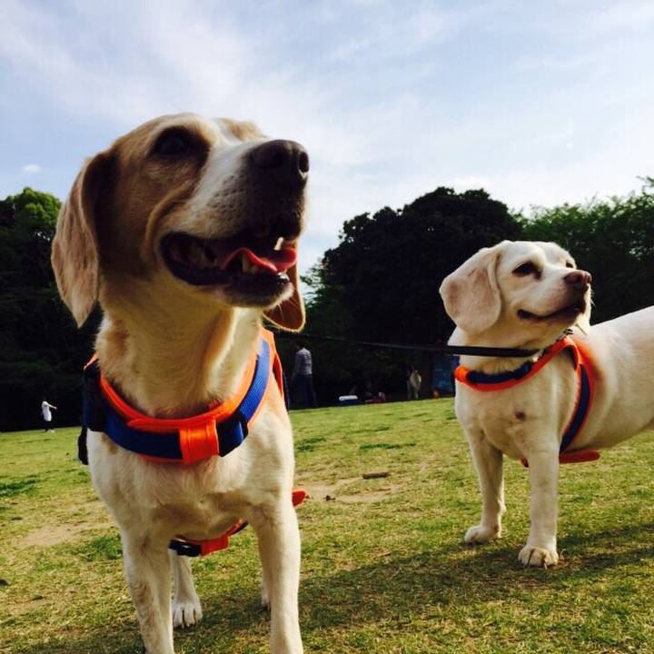 7ba653f8 1be4 4ca3 96e4 b83b5a7f60e3