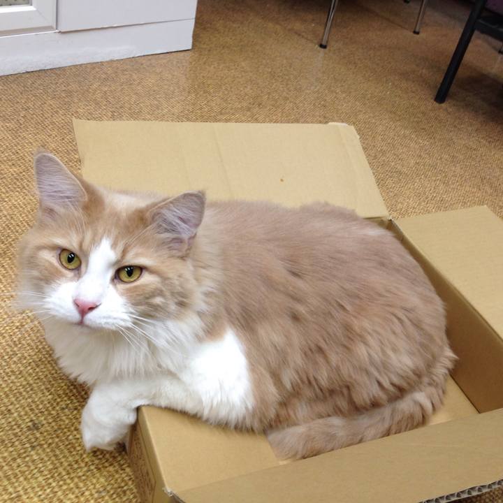 7ba737ff 94dd 4359 98ab d79bcdcc7486