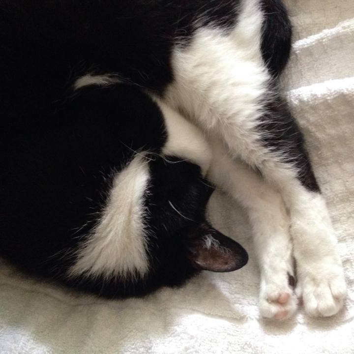 7ba74e6e bd95 4729 820c 6afd4e347a6d