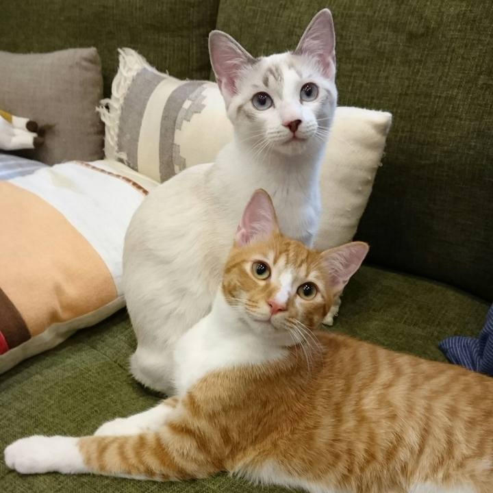 7ba785d3 9105 4420 acd8 63768dad6c8c