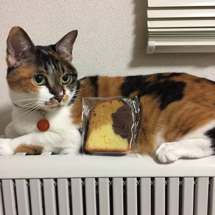 7ba7baef 08cc 4515 bc0d 3be7cf5fffce