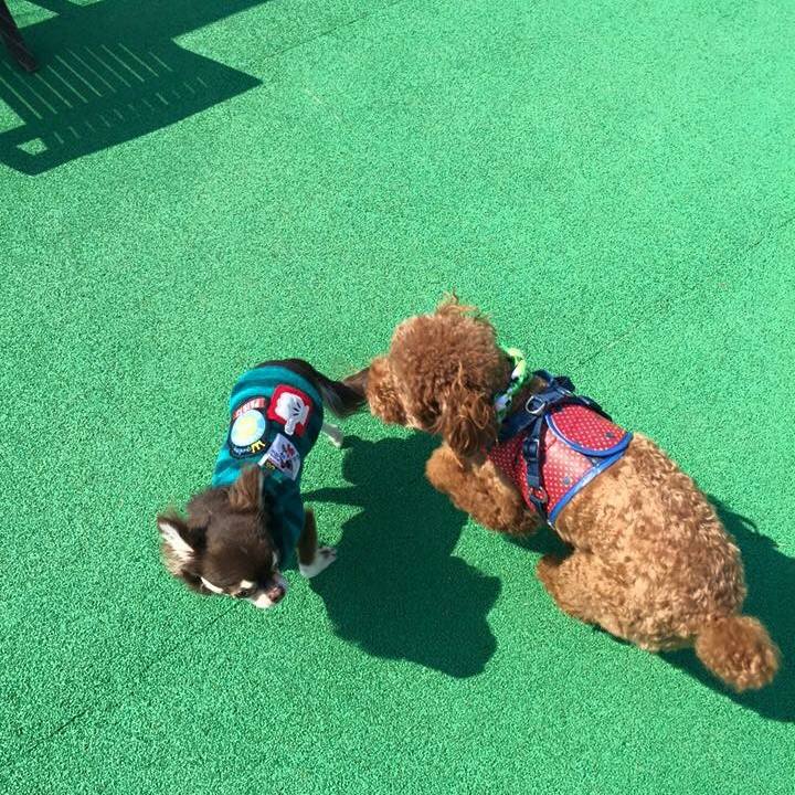 7ba8803d b0e4 49fa 8642 b8b96b71ebdc