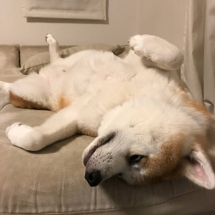 7ba910bb f220 4547 a357 d23e85ed5764