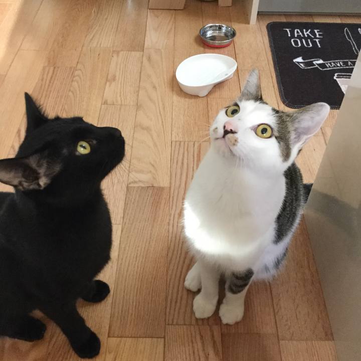 7ba93868 2d20 4c17 9bc4 d5fa714ee880