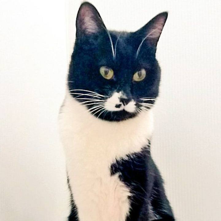 7baa8748 a393 40f9 81b7 baf21970848c