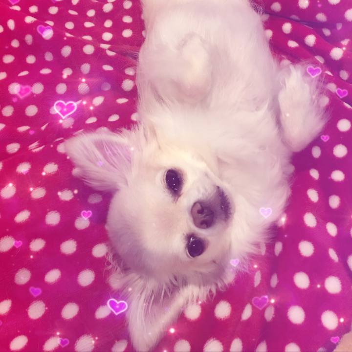 7baab8d2 6aa9 4b23 8c0c 6022cc6e3c2e