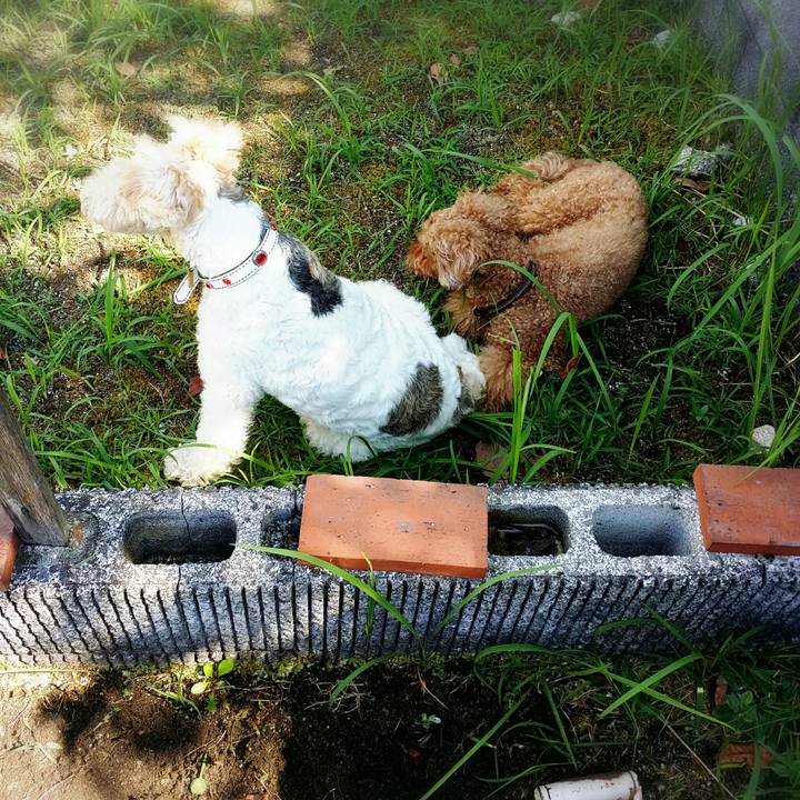 7baba1c8 08e1 431e 82a5 3815d0f9cdf2