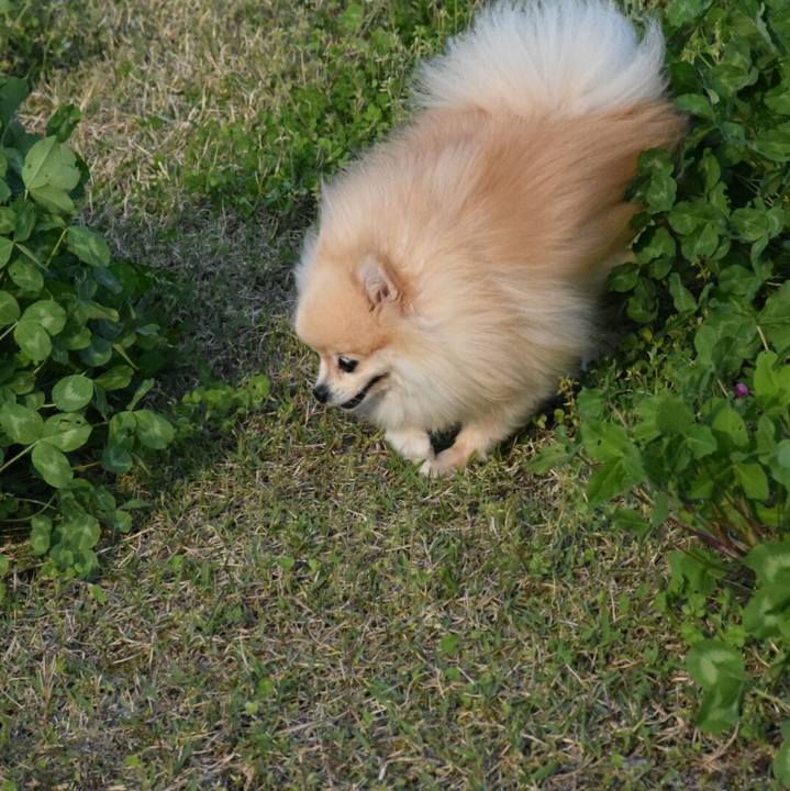 7babe554 7d3d 45b4 b40b 9eb882aba1d7