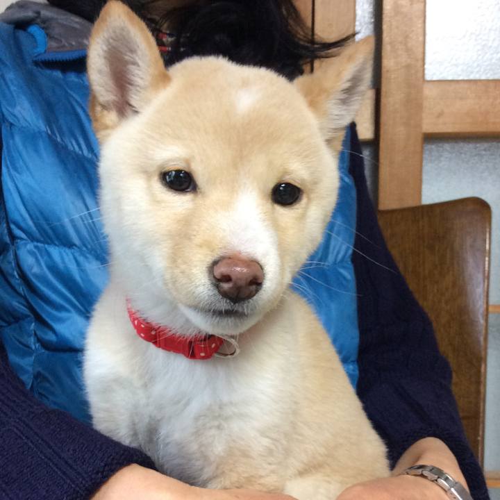 7bac85d4 3704 4b2a ab2e b490db075b3c