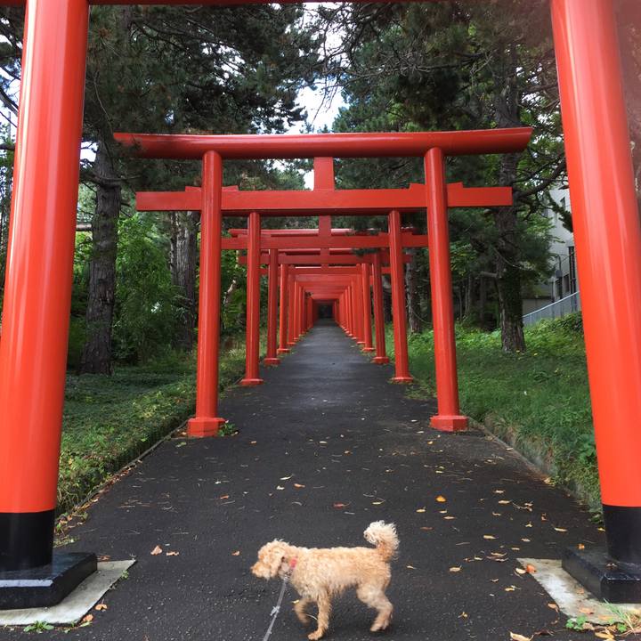 7bacbe36 e4c3 4184 bf57 8fcf93b101f0