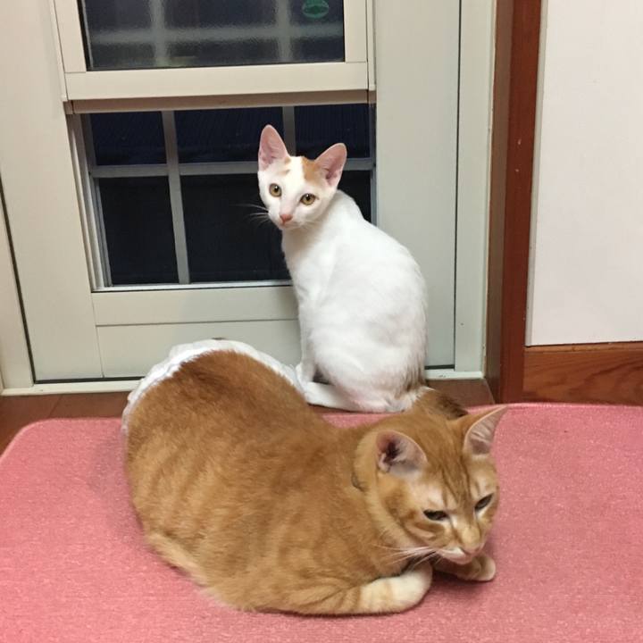 7bacd18f 5f3b 427d 8171 2458b5dafce5