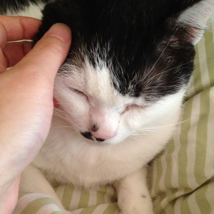 7bacf05b 292a 4997 b90a 66458e8a0568