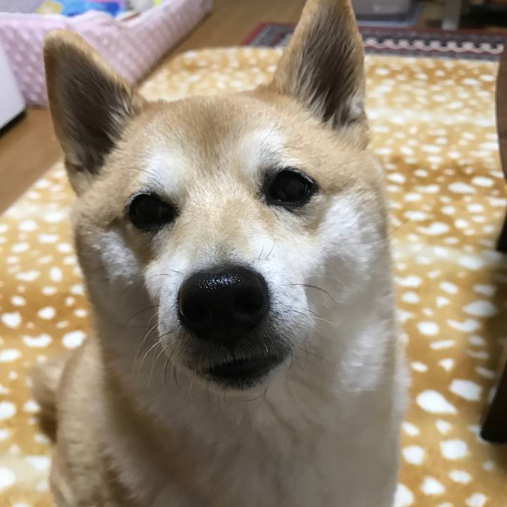 7bae0475 53ef 4645 8a76 047aec8e9cf9