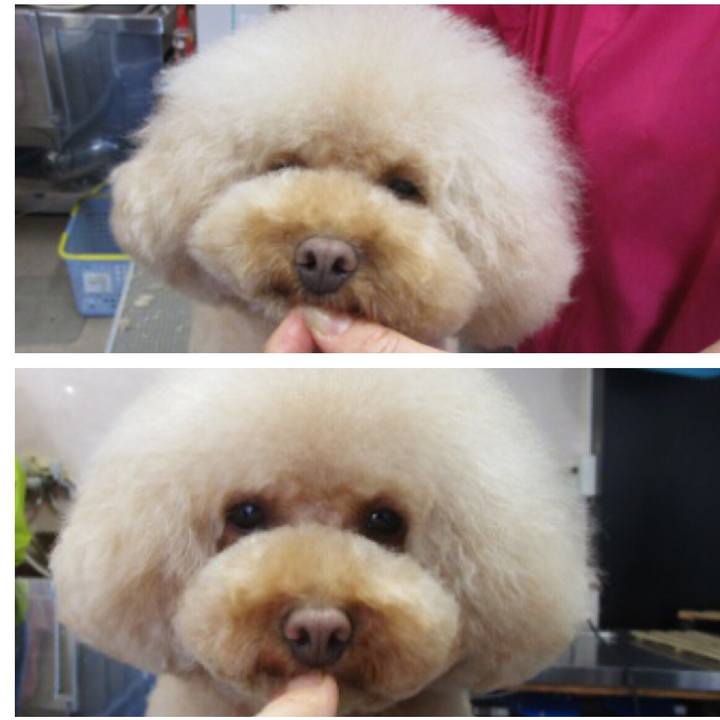 7bae2665 d323 4754 a4ac 3b054cac2dfe